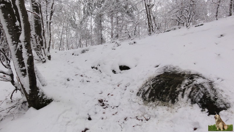 Ritterstein Nr. 184-5 Grimmeisenpfad.JPG - Ritterstein Nr.184 Grimmeisenpfad